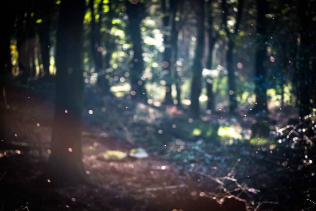 Abstract vrij werk fotogrietje