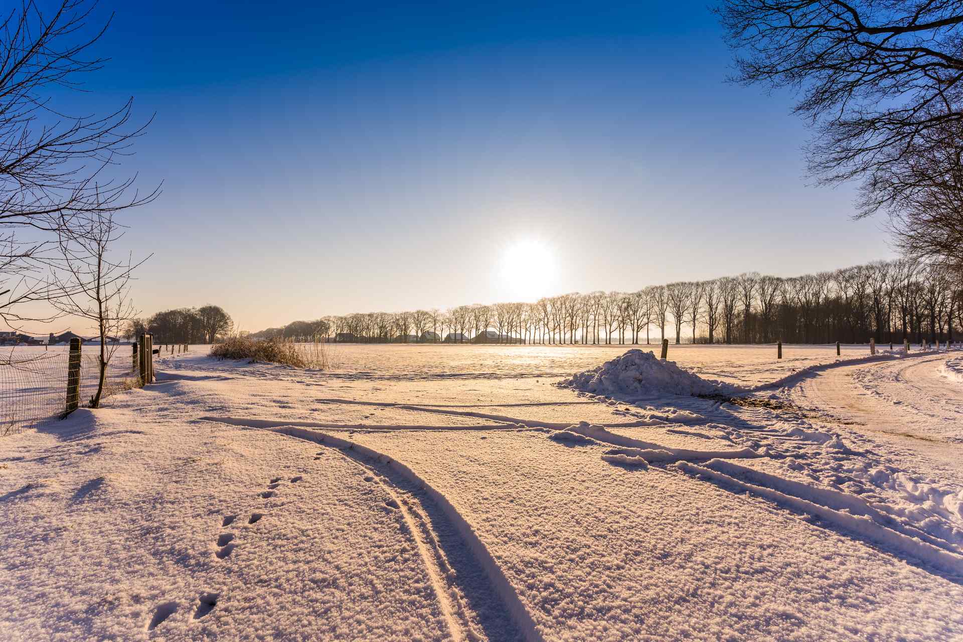 Sneeuwlandschap Nederland
